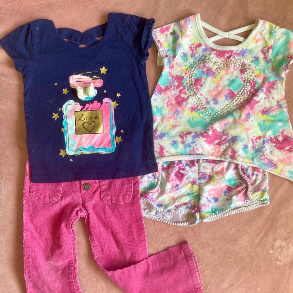 Carters & Garanimals 2T-3T Outfit Bundle